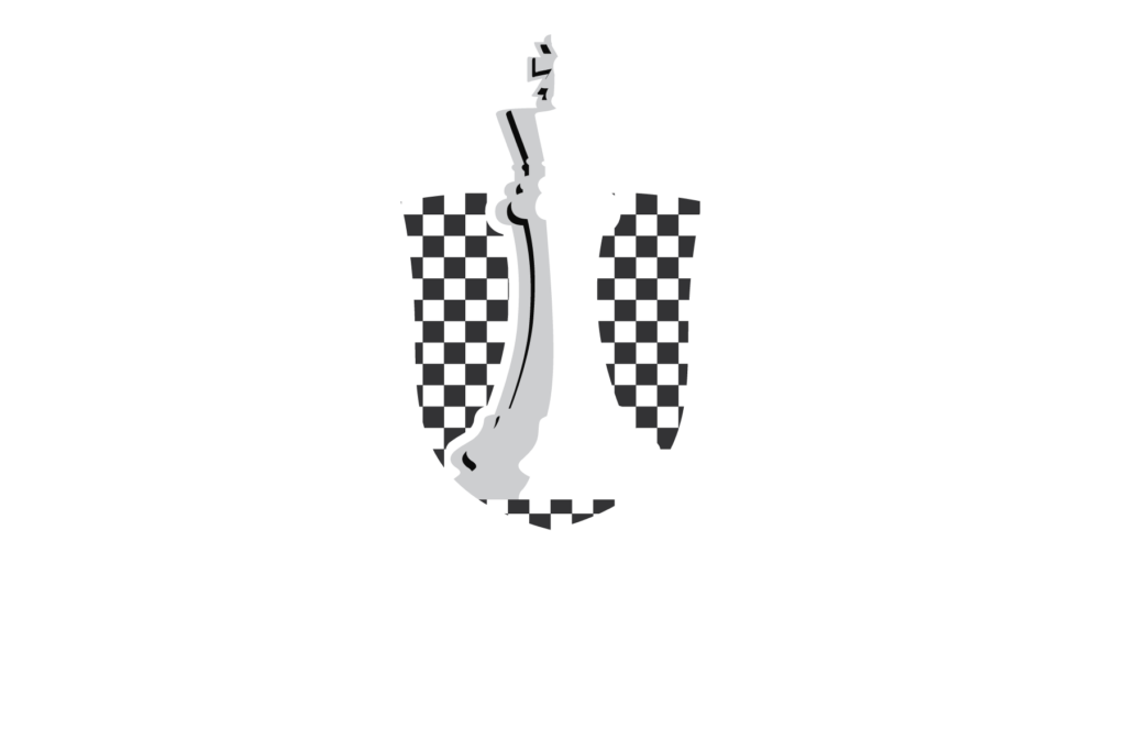 Schachschule Bern Schweiz